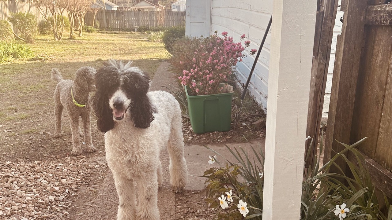 Photo of Outdoor in Searcy