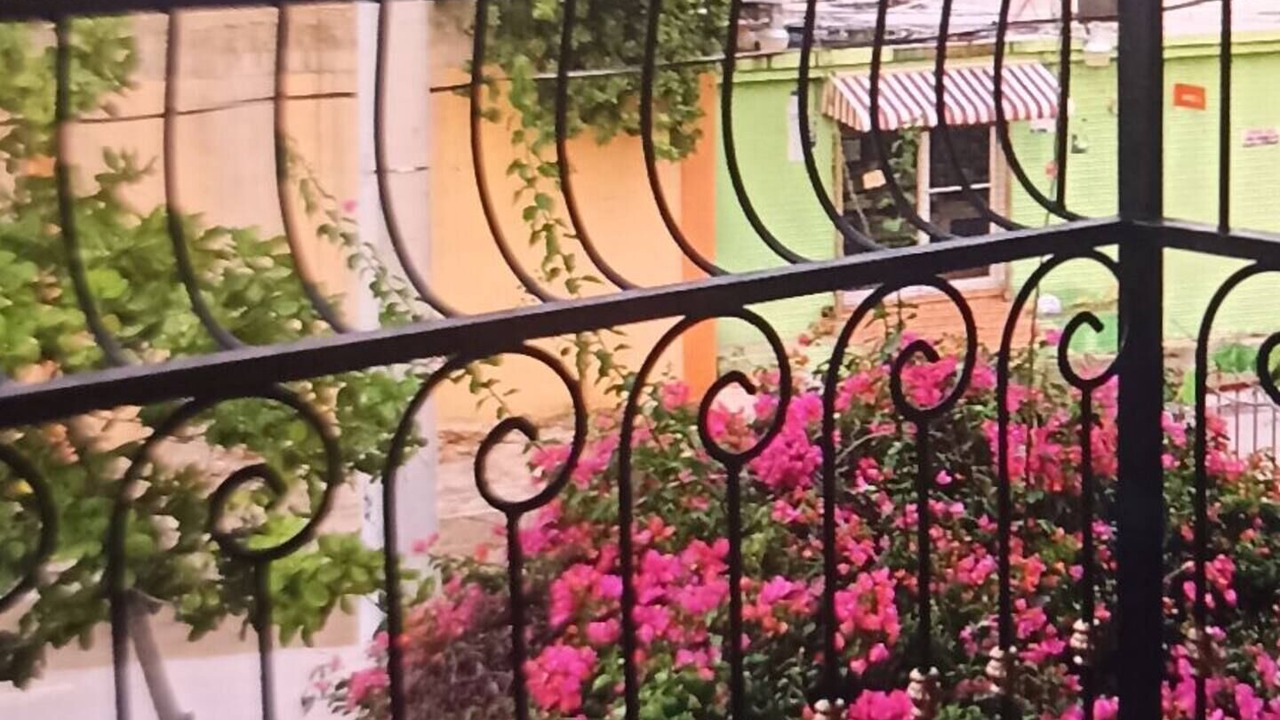 Photo of Outdoor in Sabana Yegua