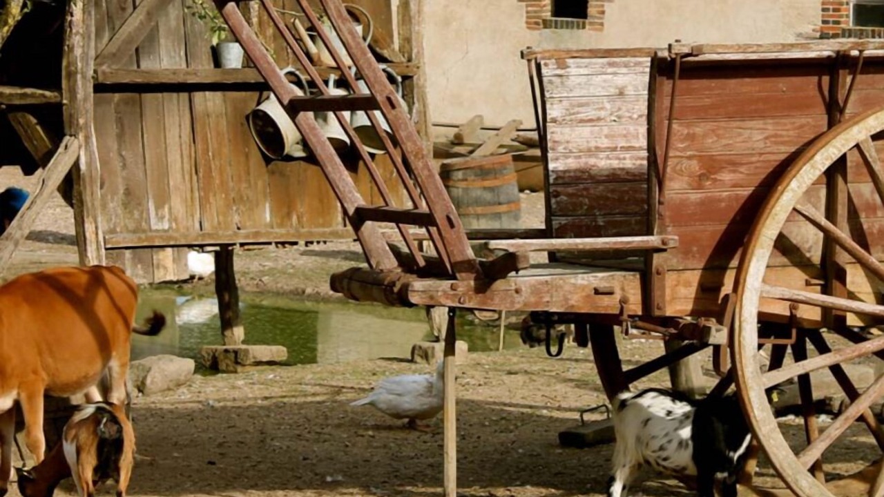 Photo of Others in Saint-Fargeau