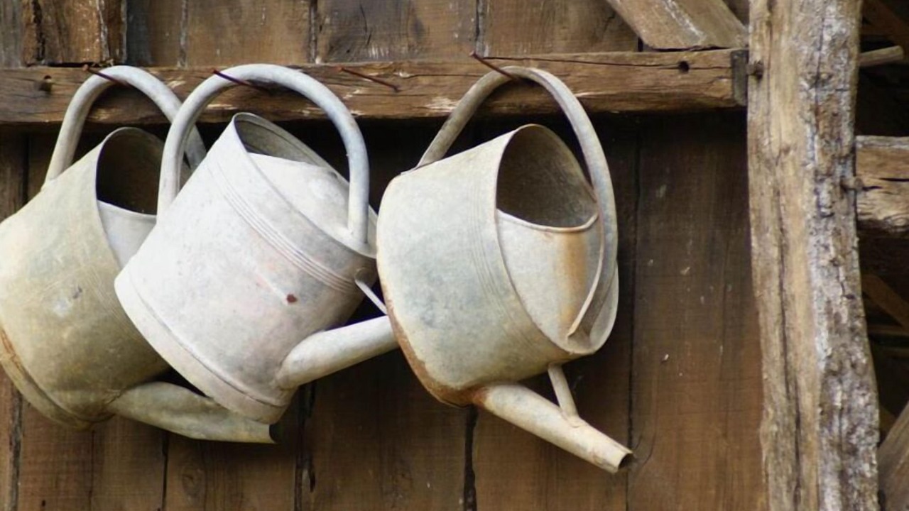 Photo of Others in Saint-Fargeau