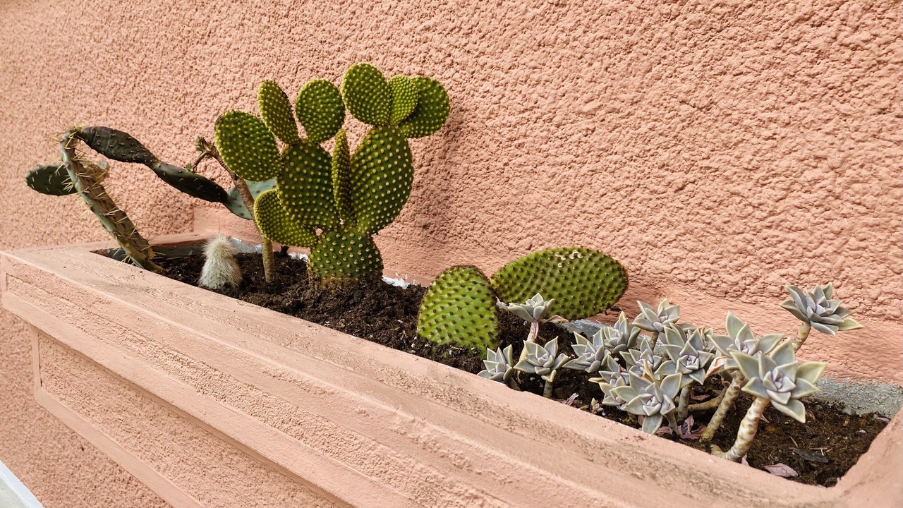 Photo of Outdoor in Orsay