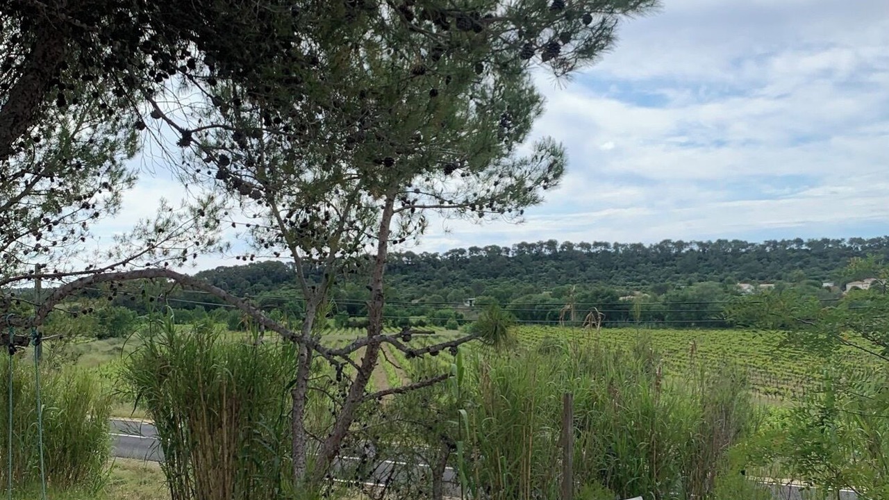Photo of Outdoor in Les Matelles