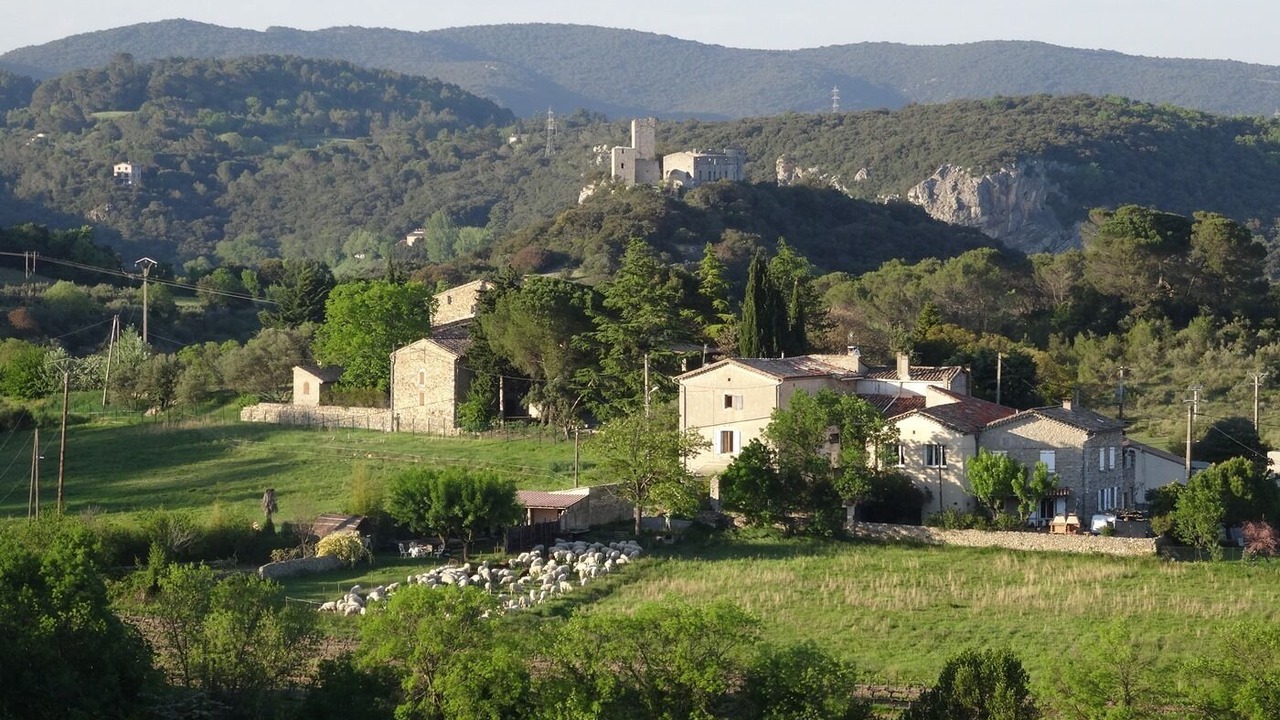 Photo of Outdoor in Tornac