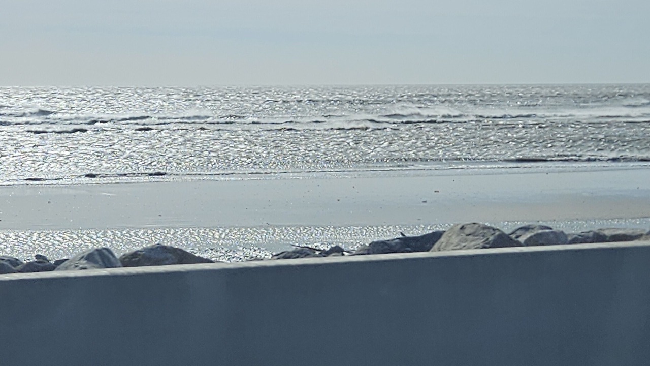 Photo of Others in Crystal Beach
