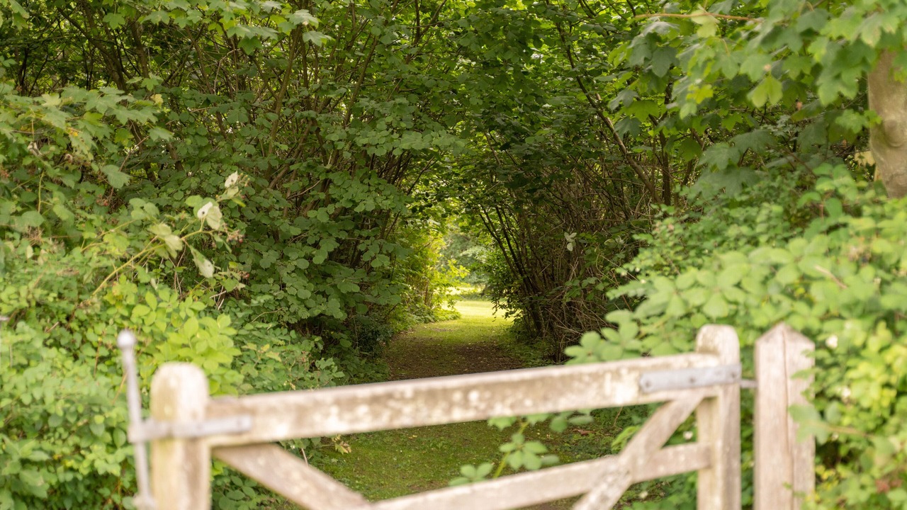 Photo of Outdoor in Sakskobing
