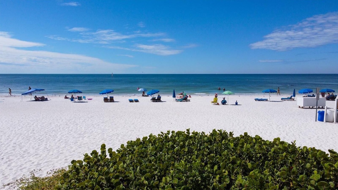 Photo of Others in North Redington Beach