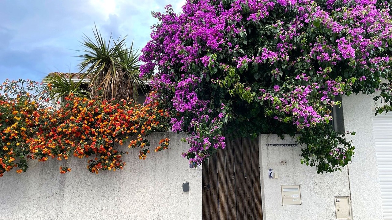 Photo of Outdoor in Saint-Nazaire