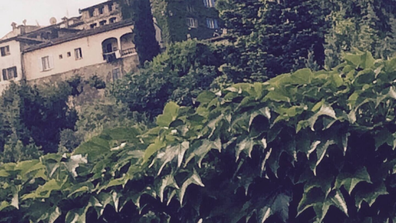 Photo of Outdoor in Auribeau-sur-Siagne