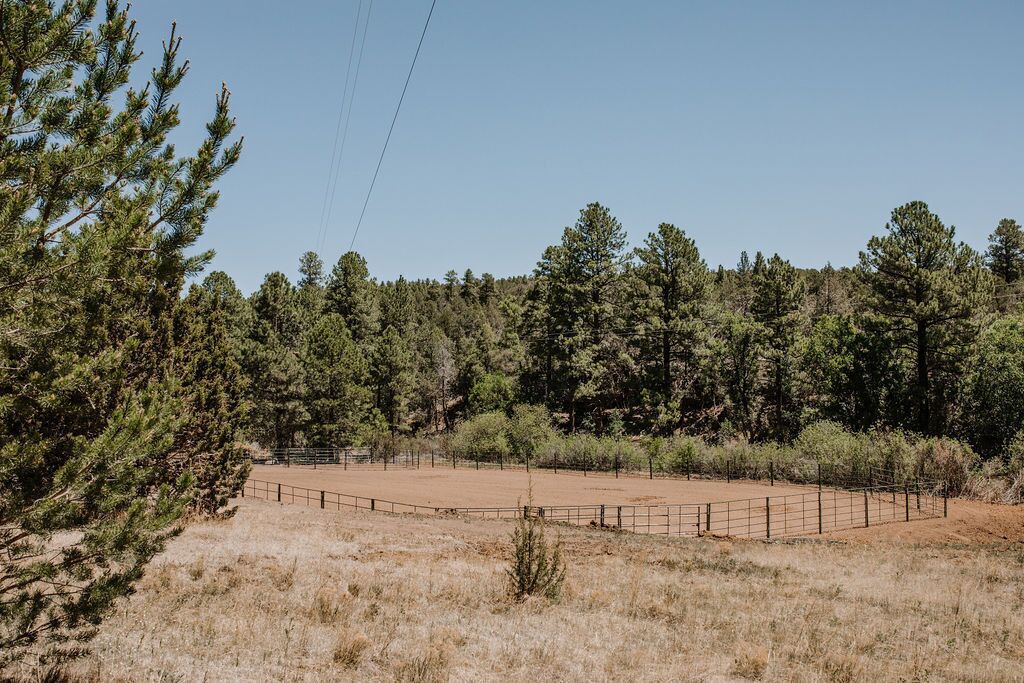Photo of Outdoor in McIntosh
