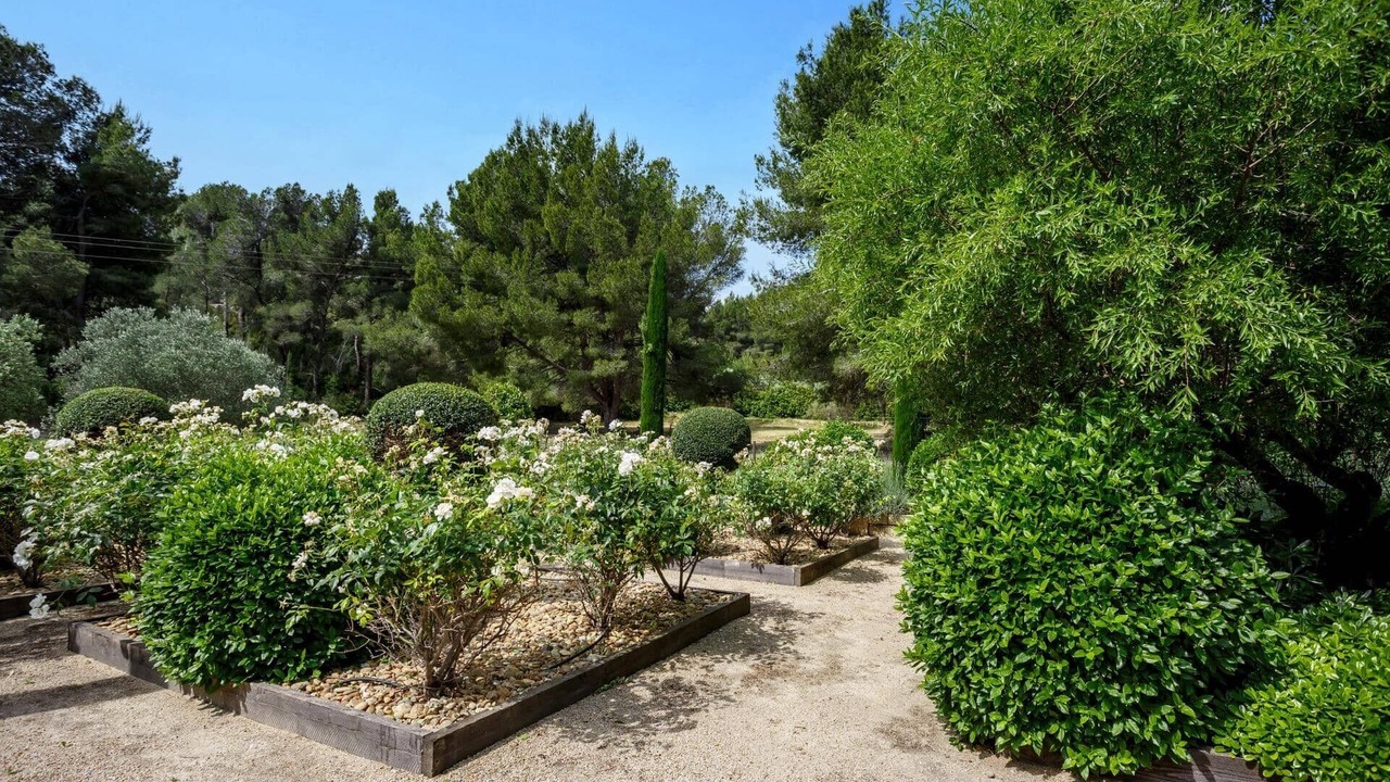 Photo of Others in Maussane-les-Alpilles