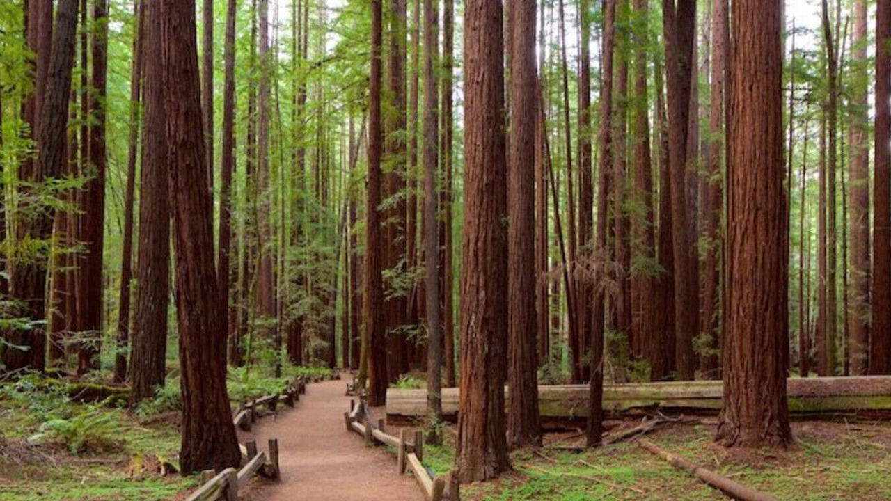 Photo of Others in Santa Rosa