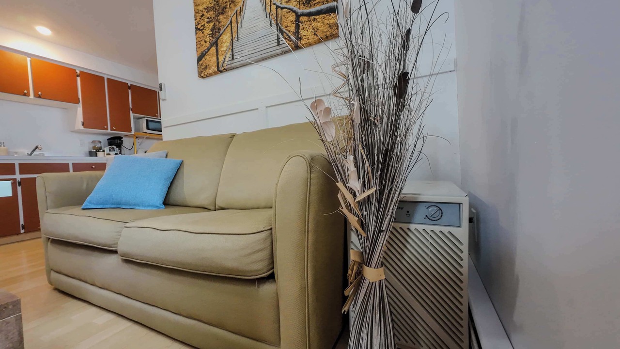 Photo of Livingroom in Rouyn-Noranda