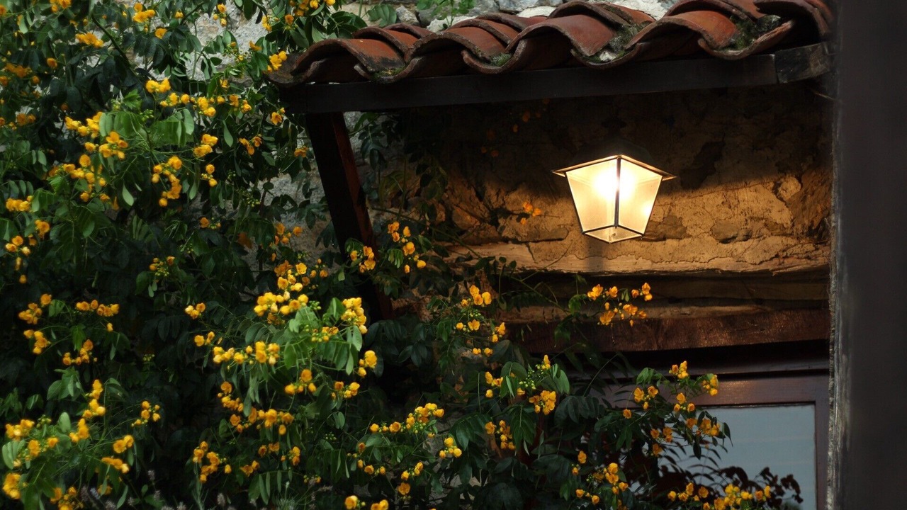 Photo of Outdoor in Montferrer