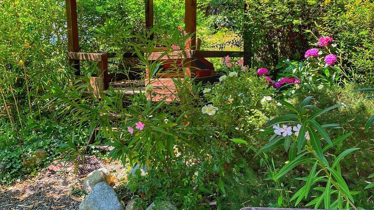 Photo of Outdoor in Montferrer
