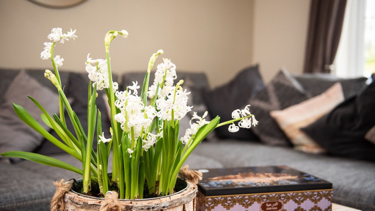 Photo of Others in Pride Park