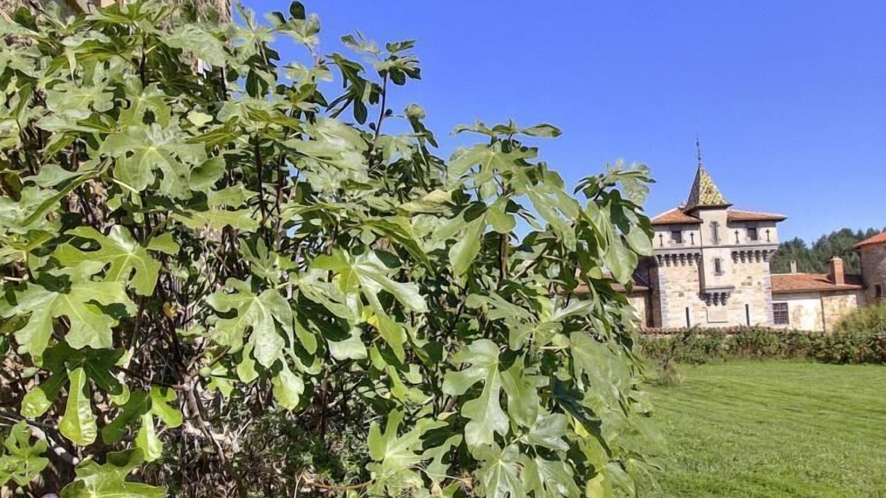 Photo of Outdoor in Pomeys