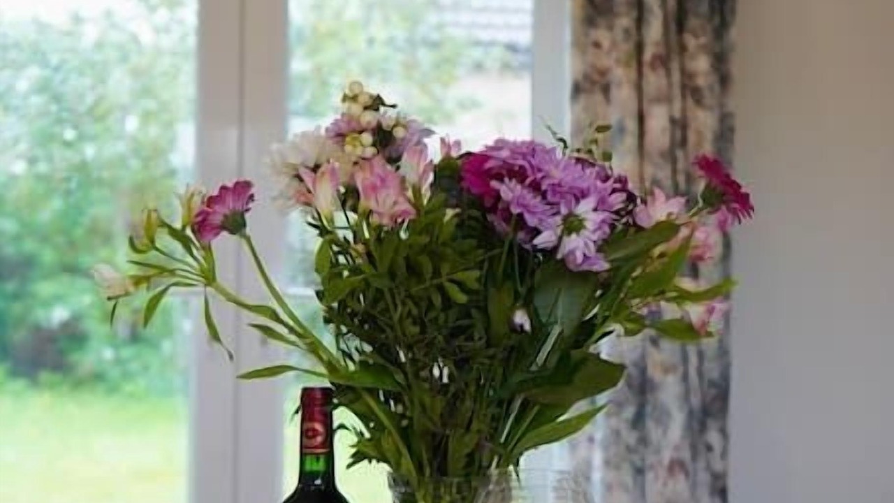 Photo of Others in Doncaster