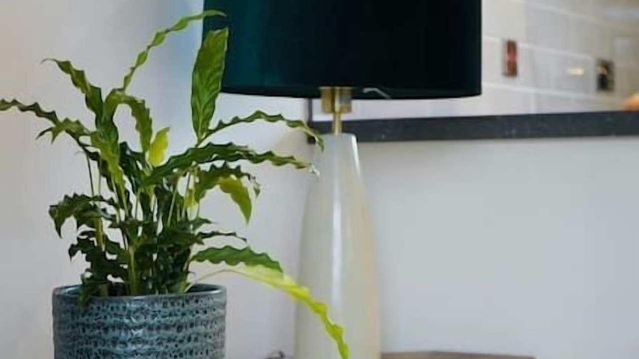 Photo of Others in Doncaster