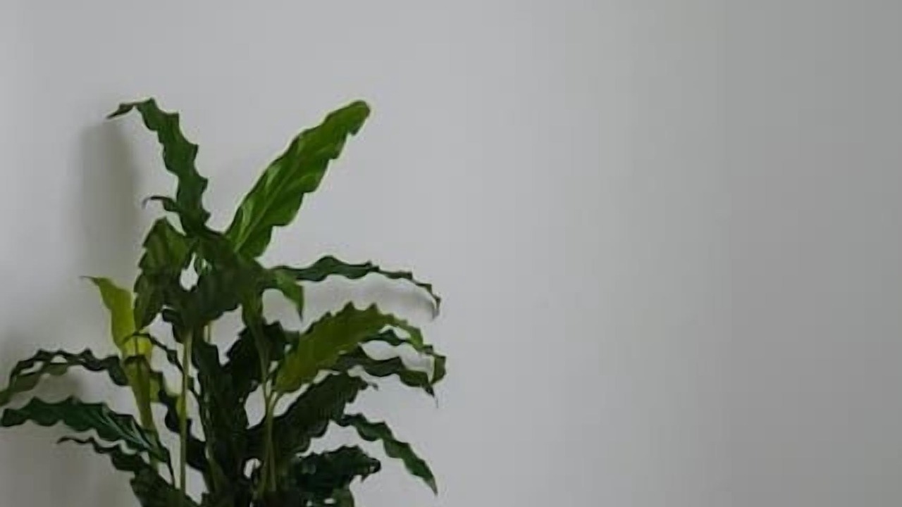 Photo of Others in Doncaster