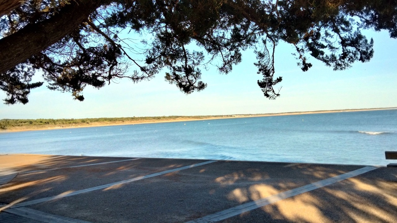 Photo of Others in Saint-Vincent-sur-Jard