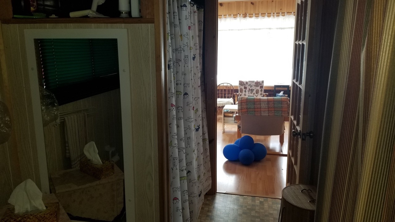 Photo of Others in Saint-David-de-Falardeau
