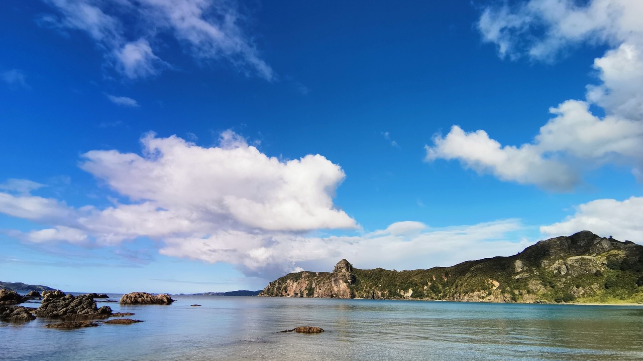 Photo of Others in Taupo Bay