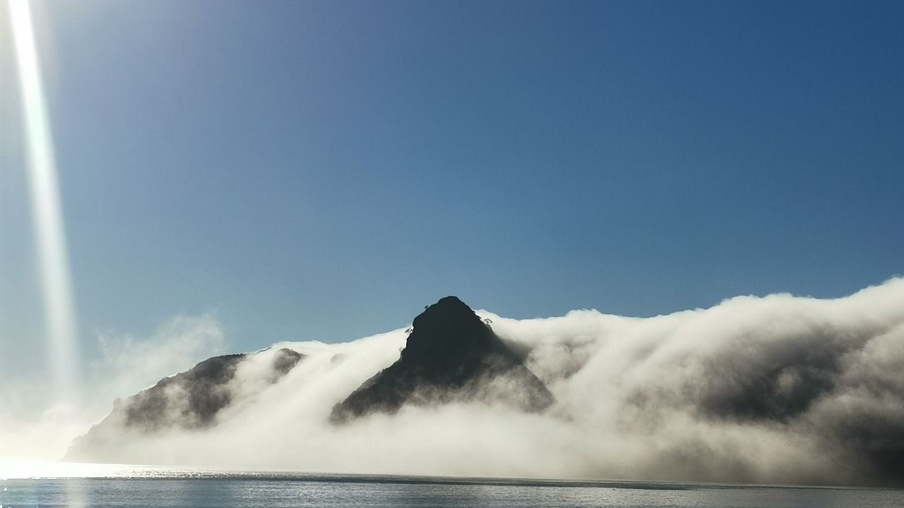 Photo of Others in Taupo Bay