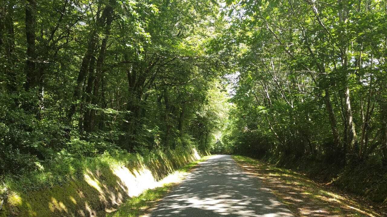 Photo of Others in Varenguebec