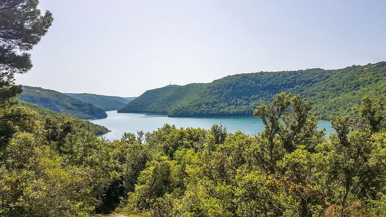 Photo of Others in Susnjici