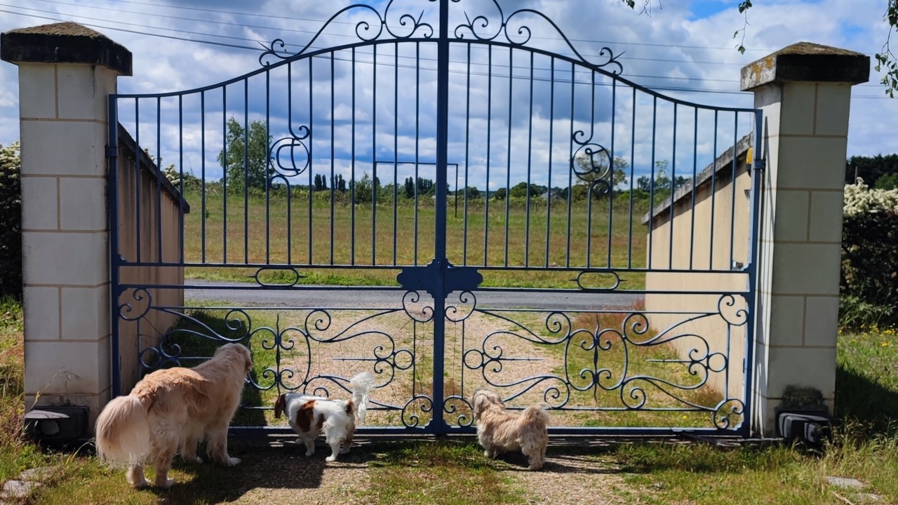 Photo of Outdoor in Longue-Jumelles