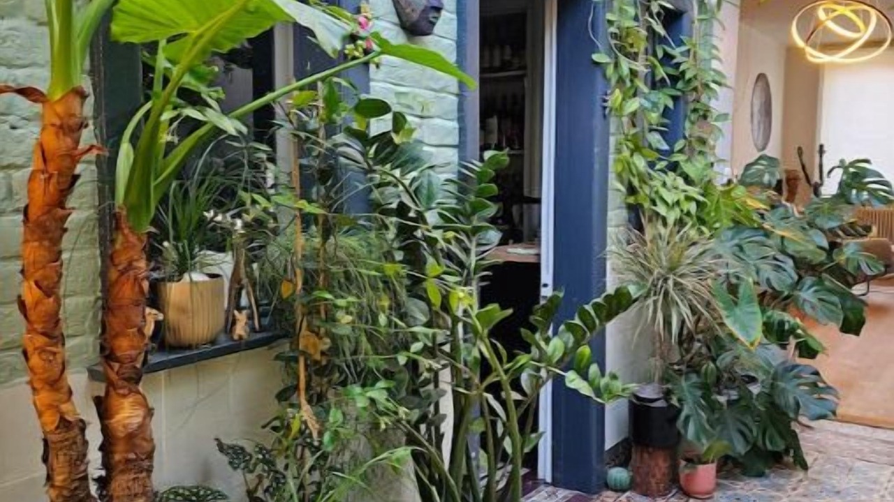 Photo of Outdoor in Lambersart