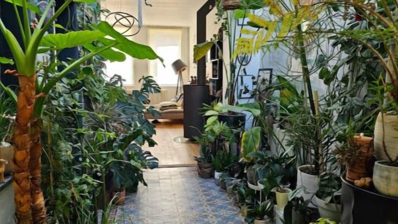 Photo of Others in Lambersart