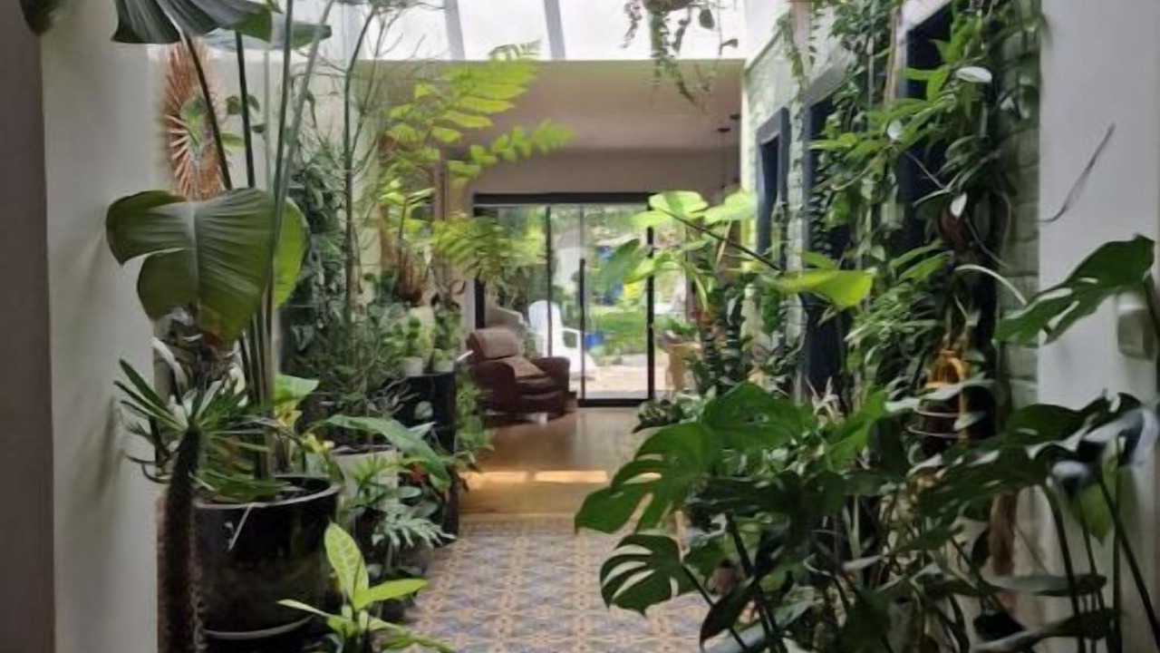 Photo of Others in Lambersart