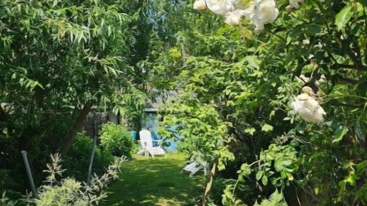 Photo of Others in Lambersart