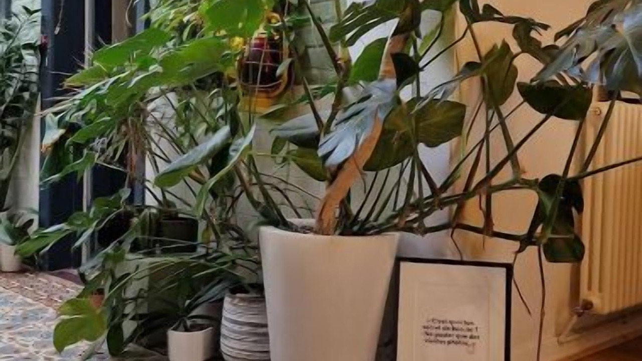 Photo of Others in Lambersart