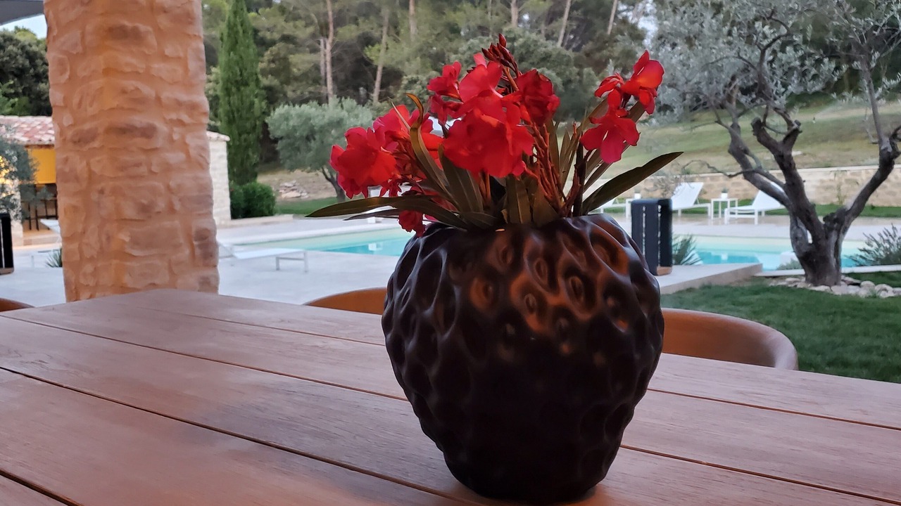 Photo of Outdoor in Fontvieille
