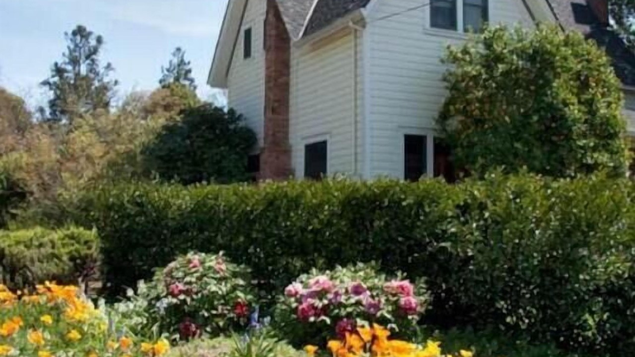 Photo of Outdoor in Healdsburg