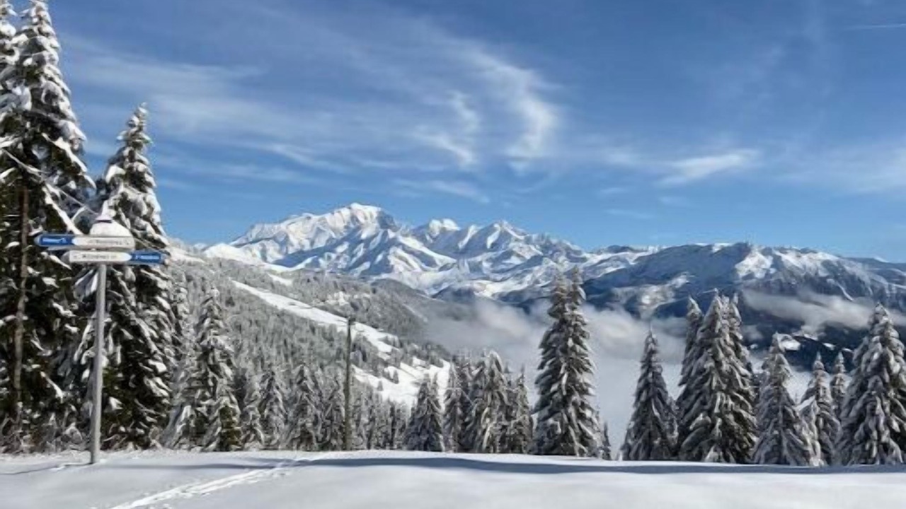 Photo of Others in Bisanne 1500