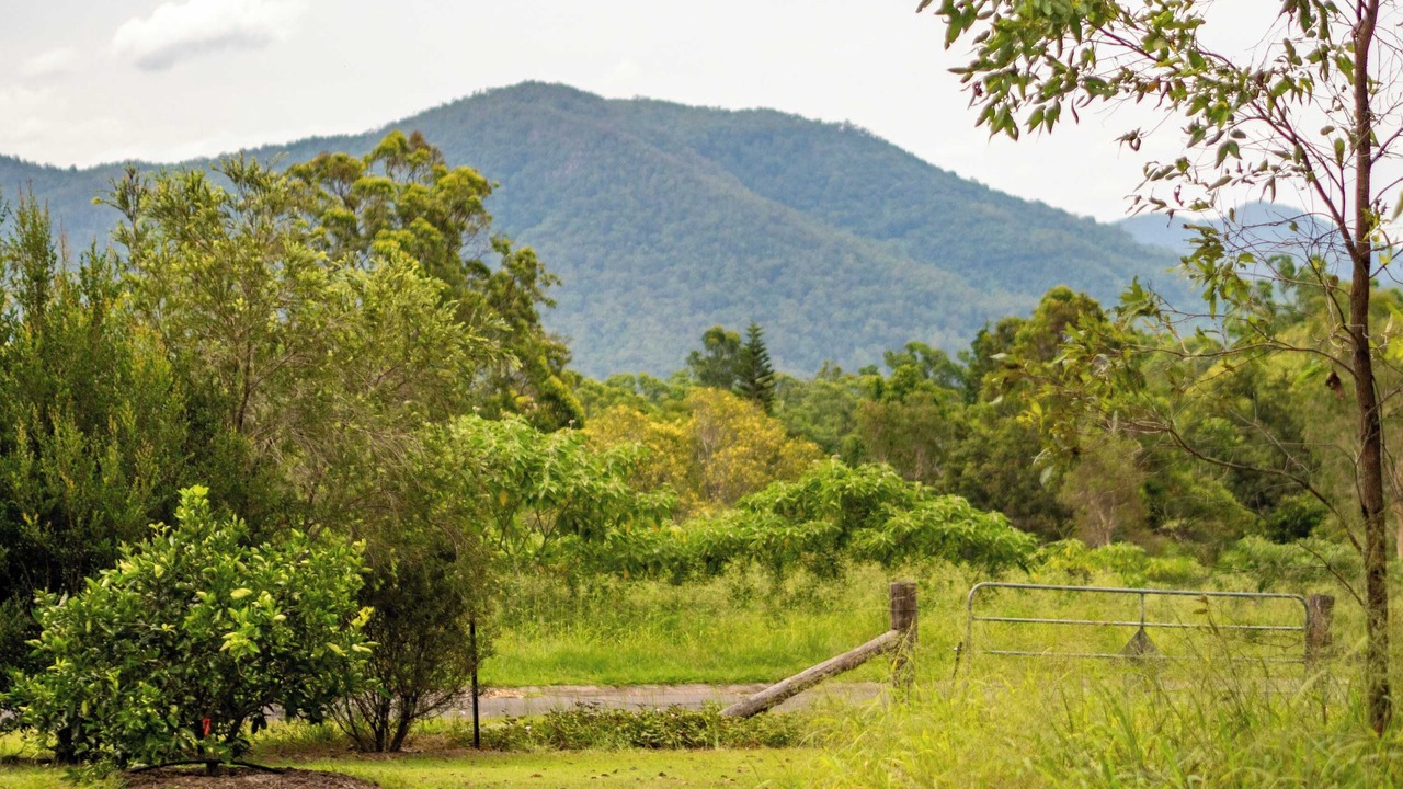 Photo of Others in Wights Mountain