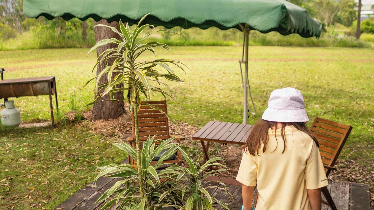 Photo of Outdoor in Wights Mountain