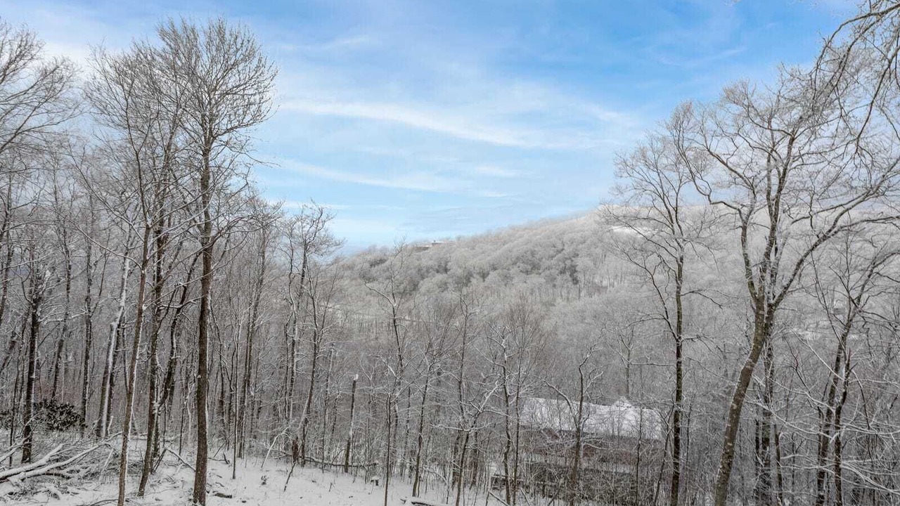 Photo of Others in Sugar Mountain