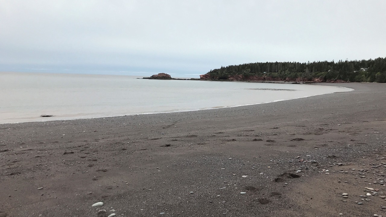 Photo of Others in West Quaco
