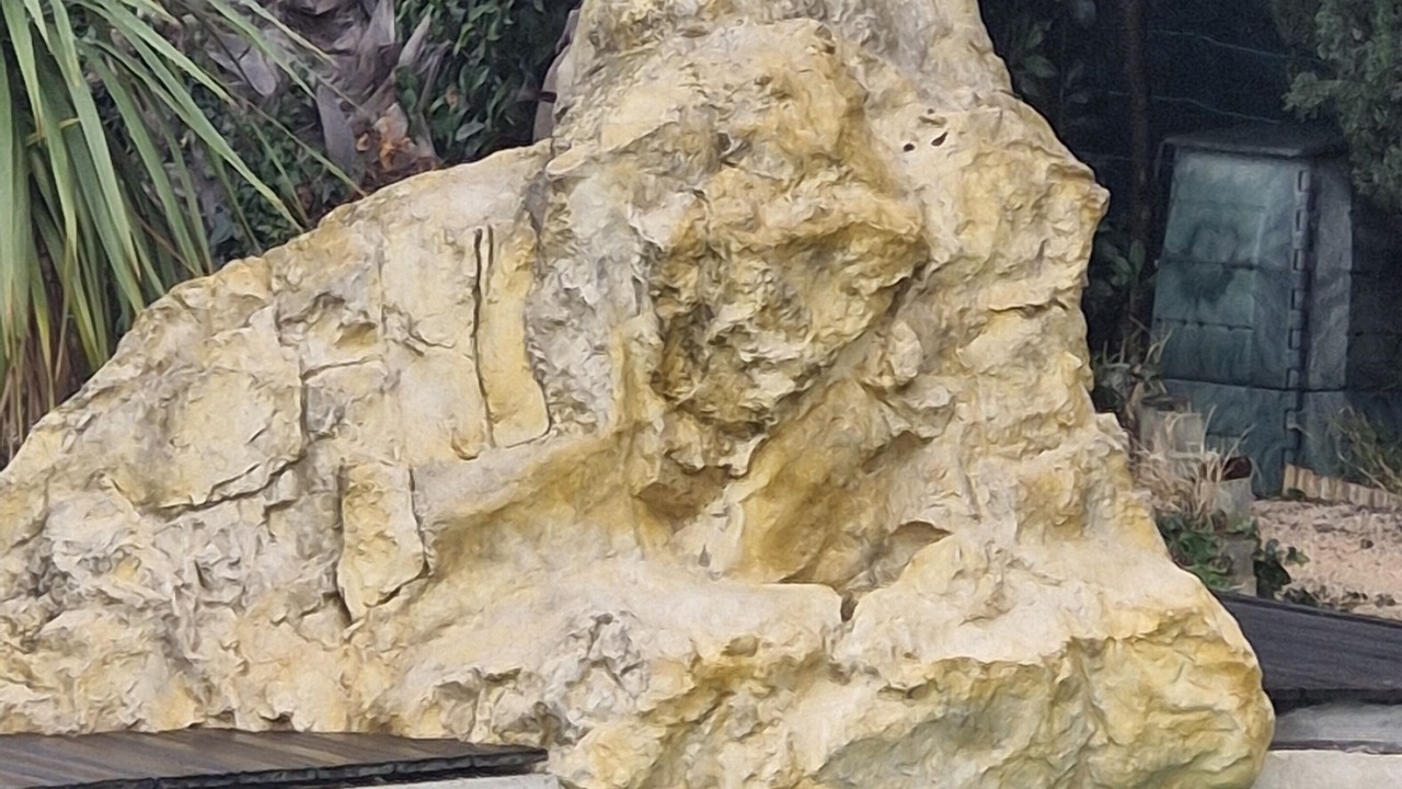 Photo of Outdoor in Saint-Esteve