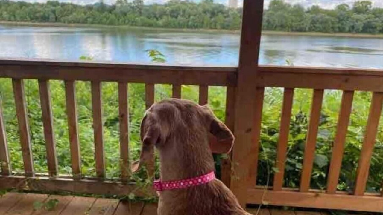 Photo of Outdoor in Gallipolis Ferry