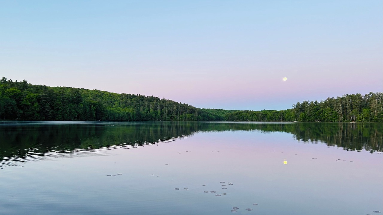 Photo of Others in Winthrop