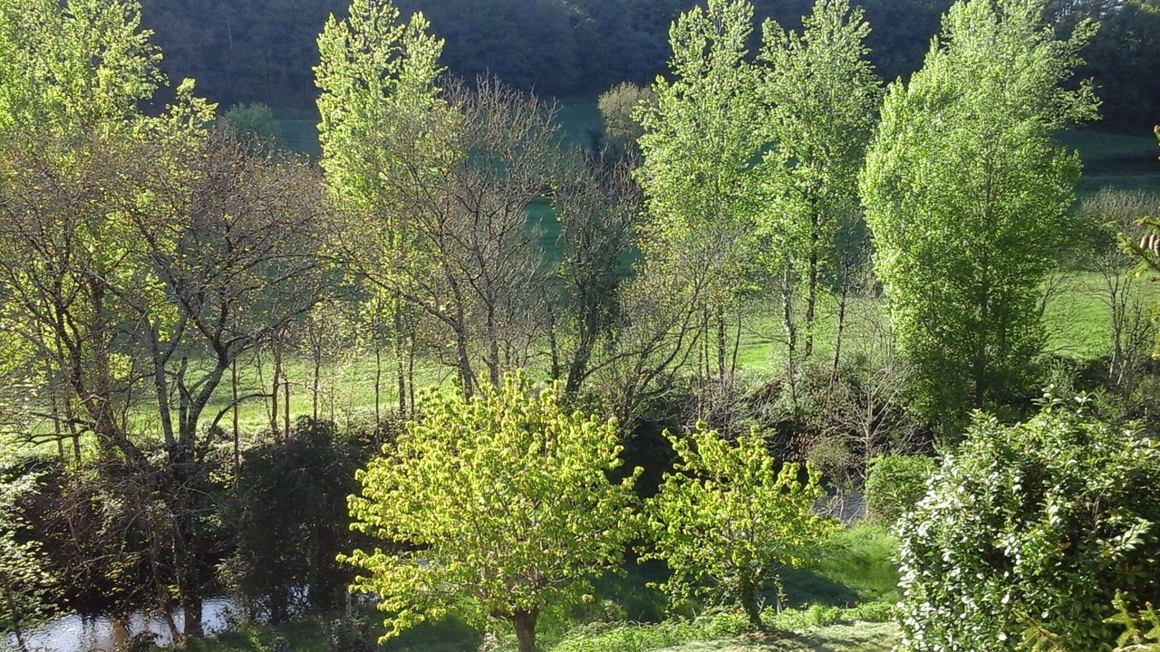 Photo of Outdoor in Curvalle