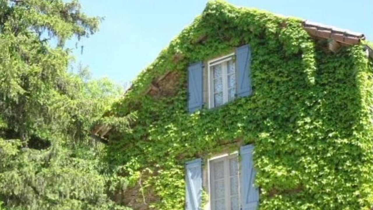 Photo of Outdoor in Curvalle