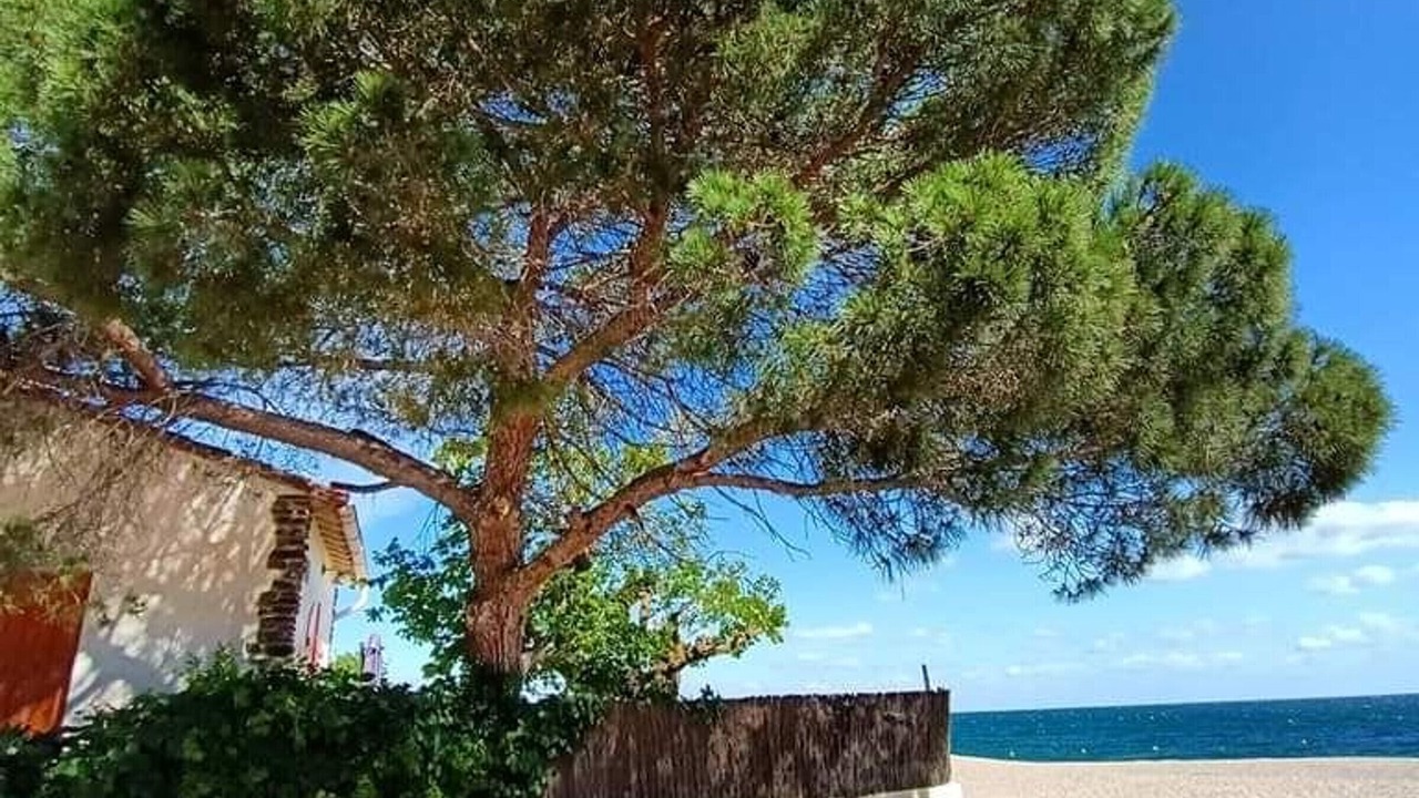 Photo of Others in Argeles Plage