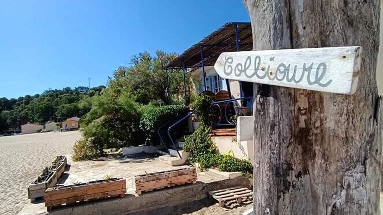 Photo of Outdoor in Plage d'Argeles