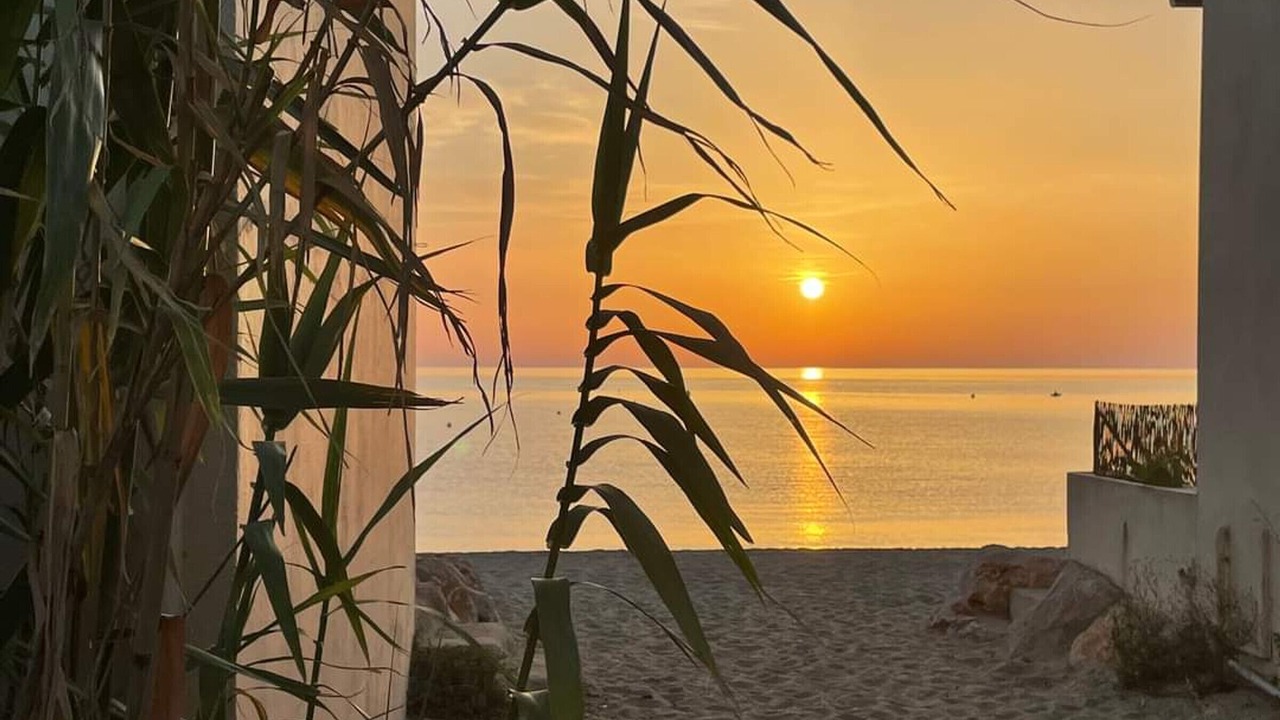 Photo of Others in Argeles Plage